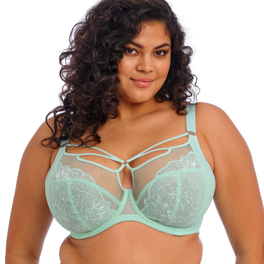 Elomi Brianna Plunge Bra
