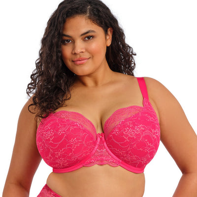 Elomi Darcie UW Padded Half Cup Bra