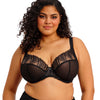 Elomi Reja Plunge Bra