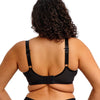 Elomi Reja Plunge Bra