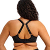 Elomi Reja Plunge Bra