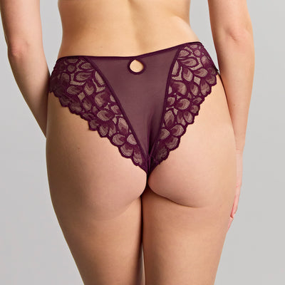 Panache Allure Brief
