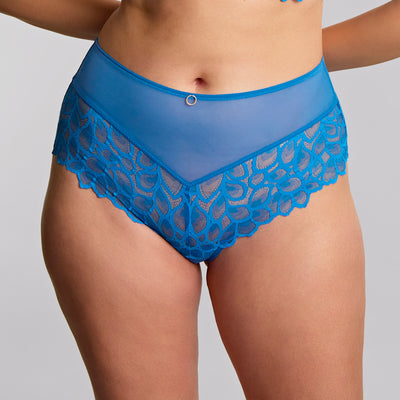 Panache Allure Deep Brief
