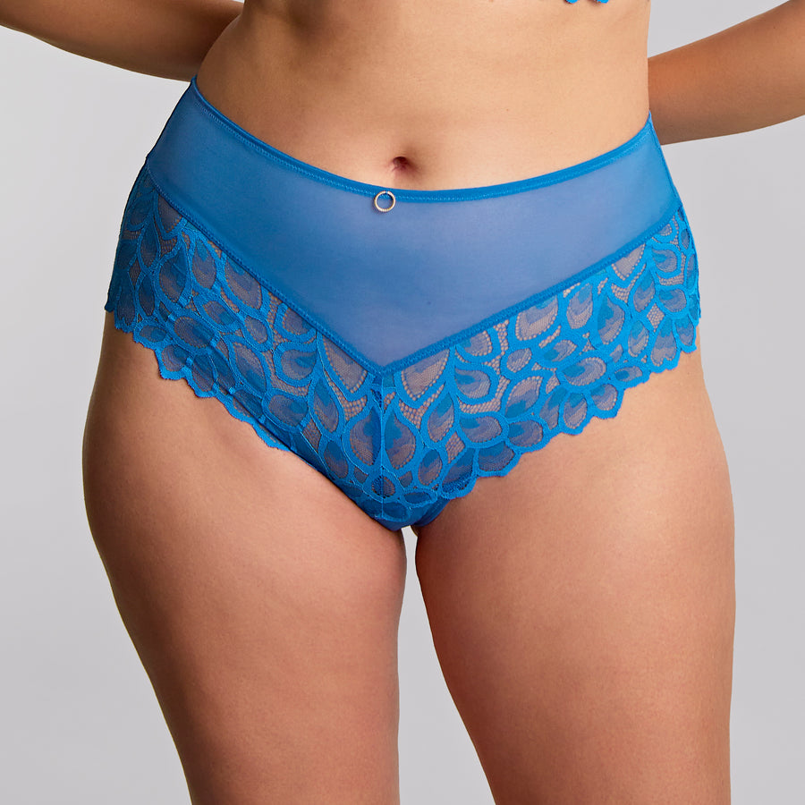Panache Allure Deep Brief
