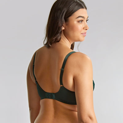 Panache Allure Full Cup Bra