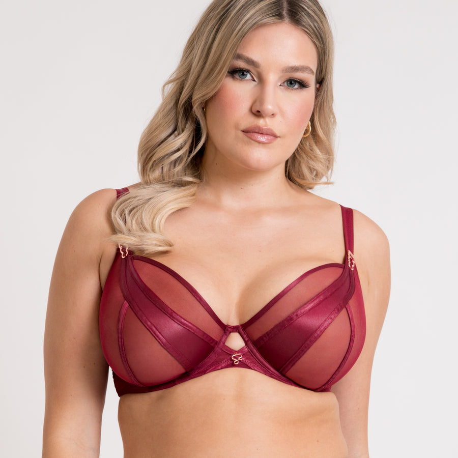 Scantilly Suspense Plunge Bra