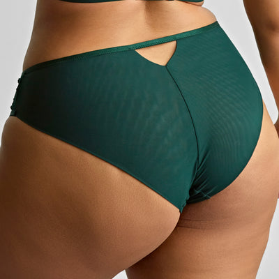 Sculptresse Josephine High Leg Brief